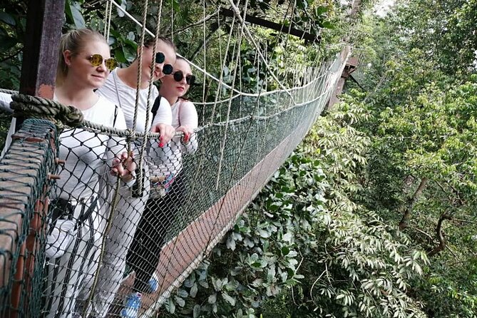 6D 5N Tour Penang-Camerons-Taman Negara-K. Lumpur-Malacca -KLIA - Nature Guide in Taman Negara