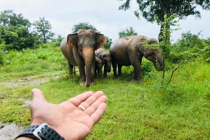 8 Days Private Vacation in Sri Lanka - What To Pack