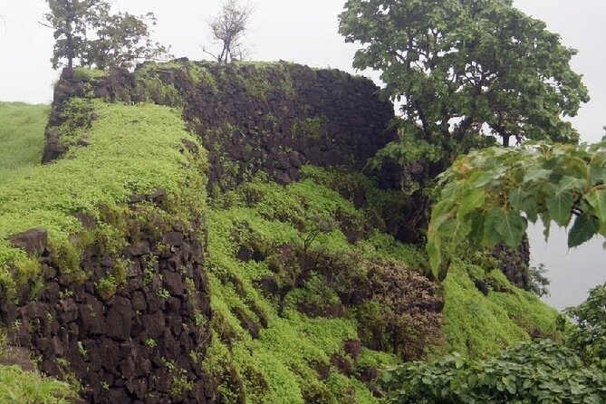 A Day in the Countryside Around Mumbai - General Countryside Tour Information