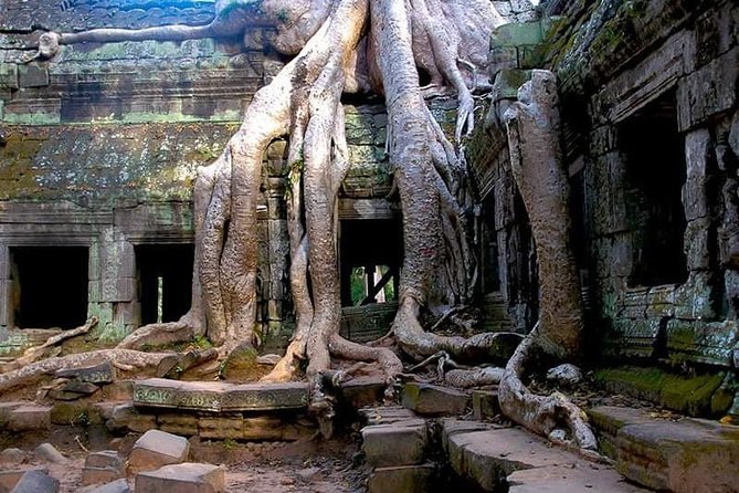 Angkor Guide To Sunrise Angkor Wat, Bayon, Ta Prohm, Banteay Srei - Discovering Ta Prohm