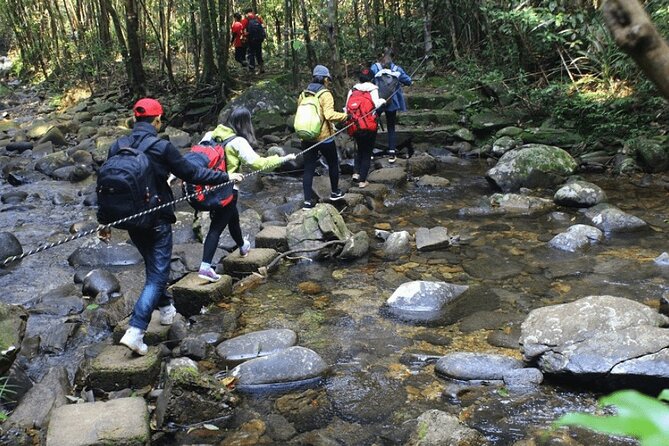 Bach Ma National Park Trekking Tour 1 Day From Hue City - Additional Tour Information