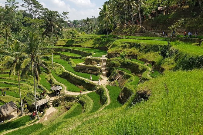 Bali Ayung River Rafting and Kintamani Volcano View Tour - Booking Policies