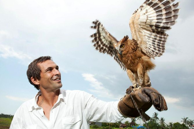 Bali Bird Park Entrance Tickets - Accessibility and Additional Info