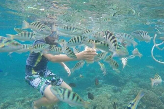 Bali Blue Lagoon Snorkeling With Optional Sightseeing - What To Expect
