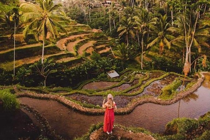 Bali Costumized Private Full-Day Tour - Inclusions