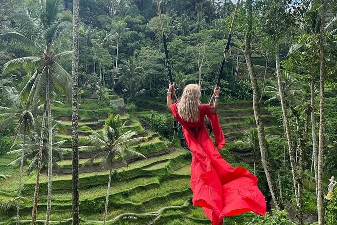 Bali Customized Private Tour - Pricing Information
