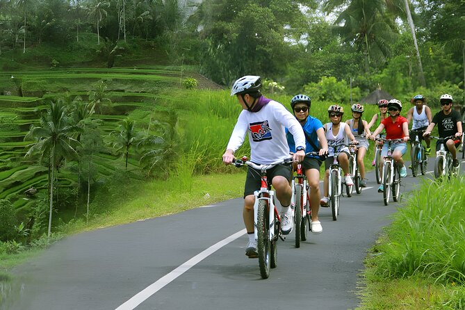 Bali Cycling and Ayung River Rafting Packages - The Sum Up
