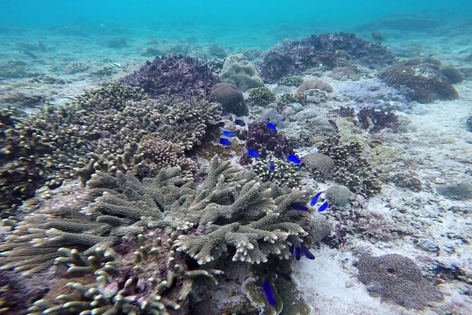 Bali Lempuyang Gate of Heaven and Private Blue Lagoon Snorkeling - Pricing and Booking Information