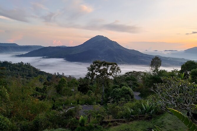 Bali Swing Packages and Kintamani Volcano View - Activity Expectations