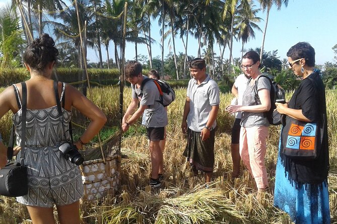 Bali Ubud Highlights Private Tour Guided With Transfers - Booking Confirmation and Restrictions