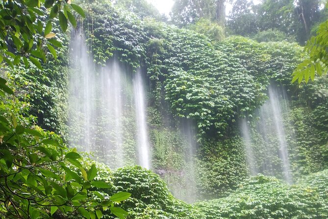 Benang Kelambu Waterfall And City Tour - Good To Know
