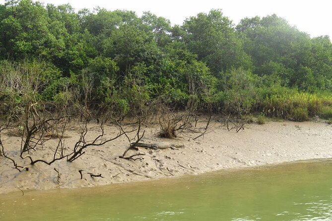 Bhubaneshwar to Bhitarkanika & Similipal Tiger Reserve Tour - Additional Information