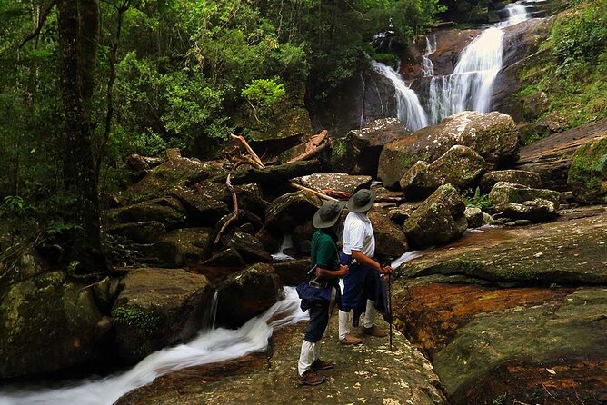 Birdwatching Walk in Sinharaja Rainforest From Mount Lavinia - Birdwatching Gear and Essentials