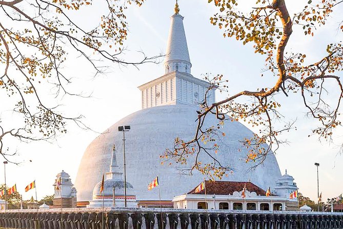 Buddhist Pilgrimage Tour (9 Days) - Cultural Site Highlights