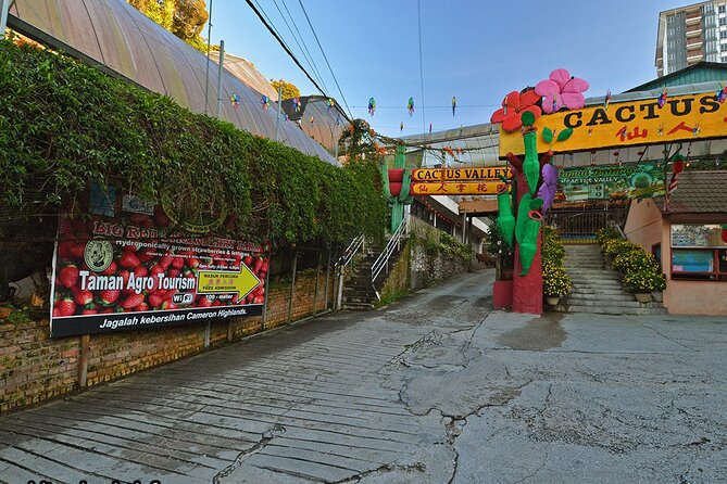 Cameron Highland Private Full Day Tour From Kuala Lumpur - Meeting Points