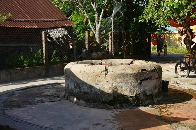 Cham Island Full Day Tour Depart From Da Nang Visit Au Thuyen and Ong Temple - Pickup Details and Logistics