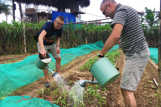 Cooking Class, Visit an Organic Farm, Basket Boat - Directions