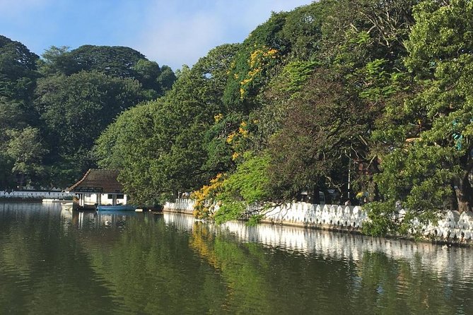 Cruise Ship Shore Excursions - Colombo Port - Kandy City Tour(Unesco & Heritage) - Logistics