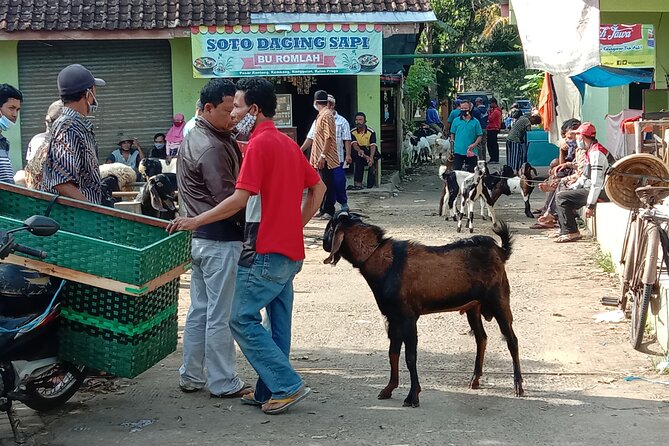 Cycling Village Tour Kulonprogo - Cancellation Policy