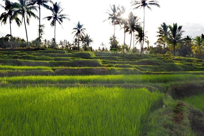 Daily Life Tour: Live Like A Local Farmer - Important Booking Information