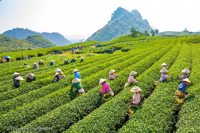Dalat Coffee Tours - Tour Inclusions