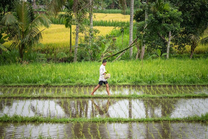 Day in the Life of a Balinese Farmer Immersion Tour - Meeting and Pickup Information