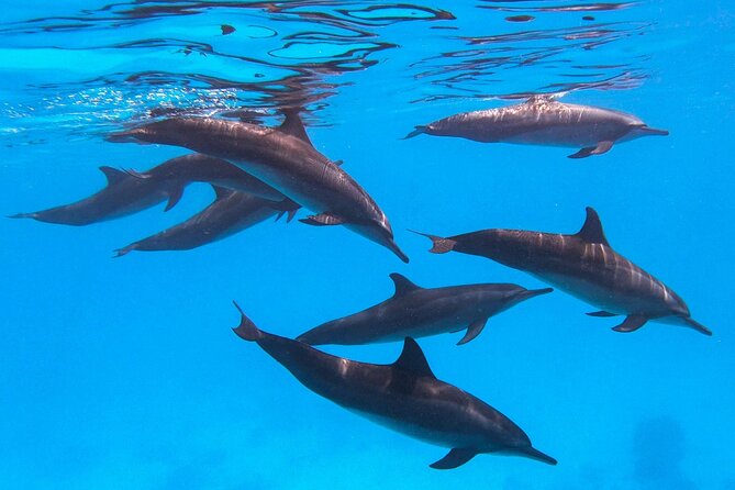 Discover Baa Atoll in 4 Nights and 5 Days - Additional Information