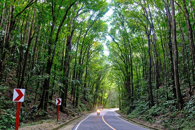 Discover Bohol Countryside Joiners Tour From Cebu City - Tour Start Time and Details