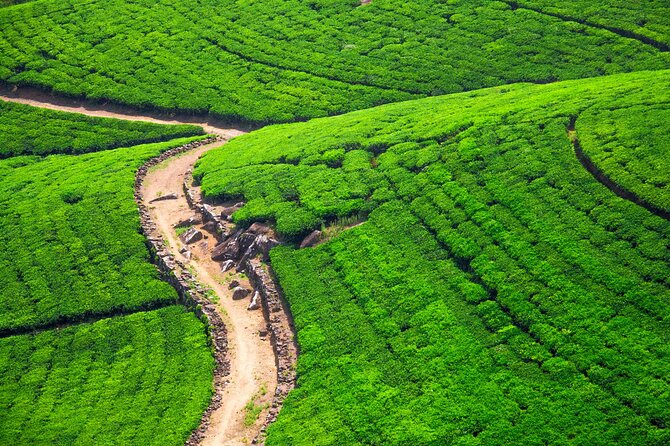 Discover Sigiriya by Helicopter From Hatton - The Sum Up
