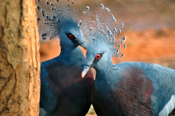 Discover the Enchanting Birds Park in Hambantota - Additional Information