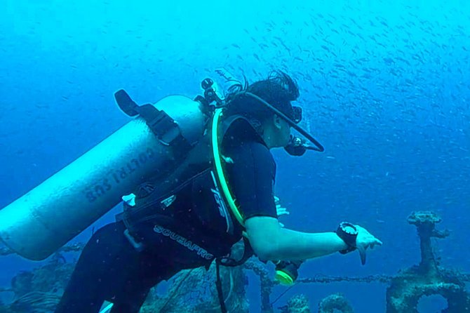 Diving From Mount Lavinia - Frequently Asked Questions