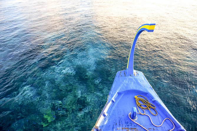 Dolphin Cruise in Dhiffushi - Pricing and Booking Information