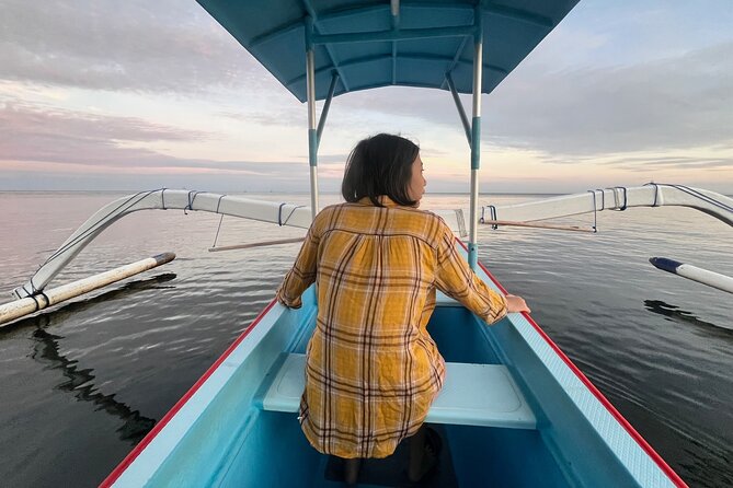 Dolphin Watching Experience at North Bali - What To Expect