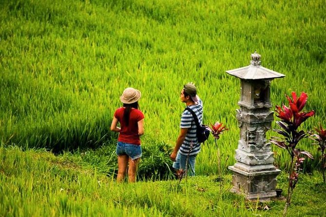 Dtukad Adventure Club: Bali Village and Rice Field Trekking Tour - Meeting Point Information