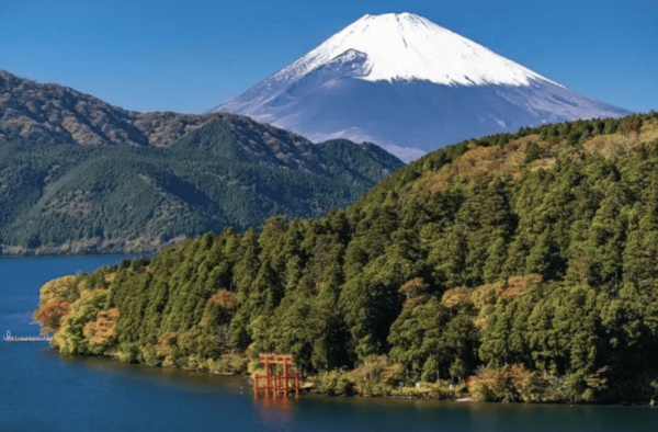 【Muslim Friendly】 Hakone 1-Day Private Tour - Cultural Considerations