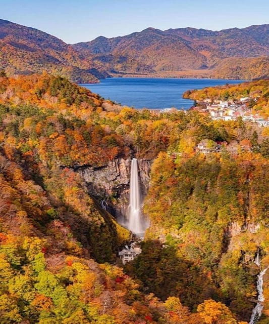 【Tokyo】 Nikko: Group Bus Tour - Transportation and Comfort