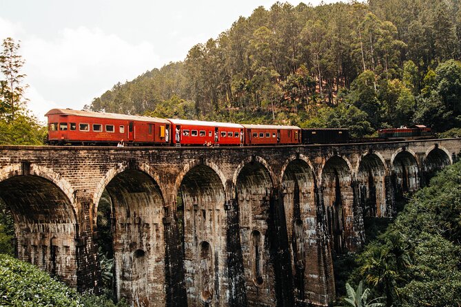 Ella Day Tour With Train Ride - Inclusions and Amenities