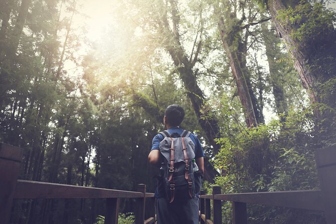 Exclusive 3-Day Sun Moon Lake & Alishan Private Tour - Meeting and Pickup