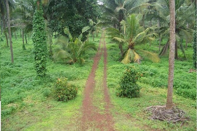 Excursion To Karkala And Moodabidri From Mangalore - Frequently Asked Questions