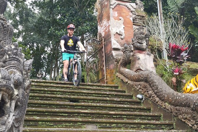 Experience Cycling Tour to Bali UNESCO Heritage Site in Jatiluwih - Essential Information for Participants