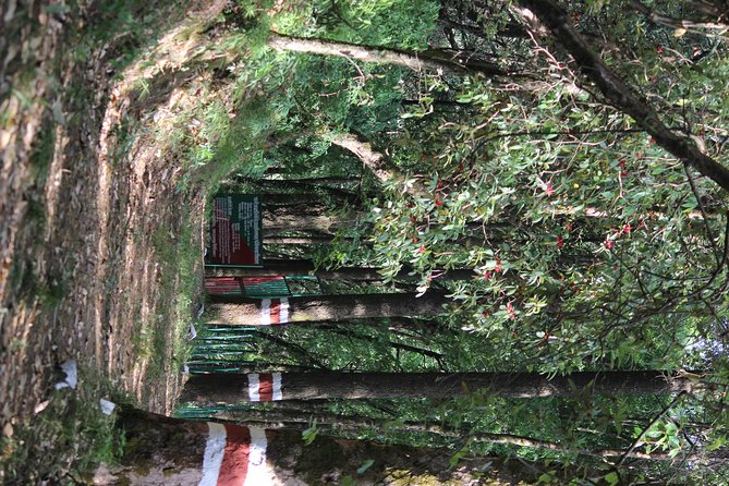 Experiential Treks & Nature-Walks Around Naintal - Itinerary and Activity Highlights