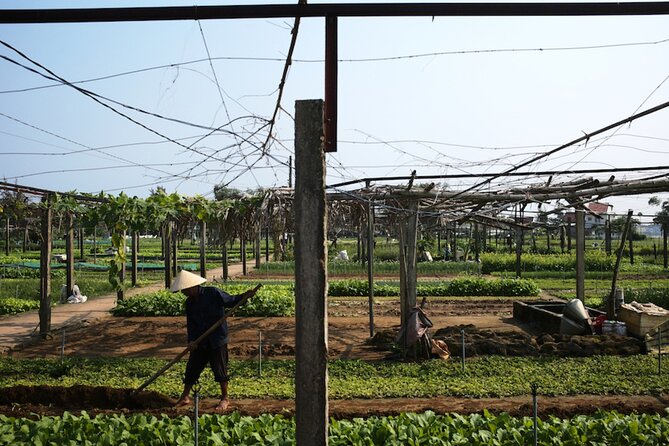 Exploring Countryside by Motorbike in Hoi An - Cancellation Policy