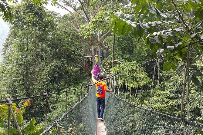 Forest Research Institute Malaysia (Frim) Nature Trekking From Kuala Lumpur - Frequently Asked Questions