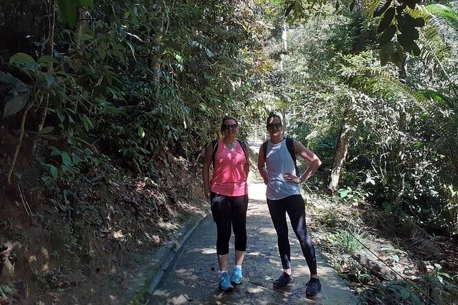 Forest Research Institute Malaysia FRIM Rainforest Private Tour - Meeting and Pickup