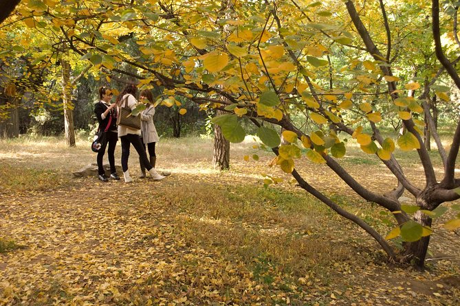 Fragrant Hill and Botanical Garden Self-Guide Day Trip With Private Driver - Booking Information