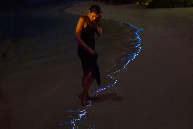 From Cat Ba: Sunset, Magical Bioluminescence Plankton Night Kayak - Pickup Details and Start Time