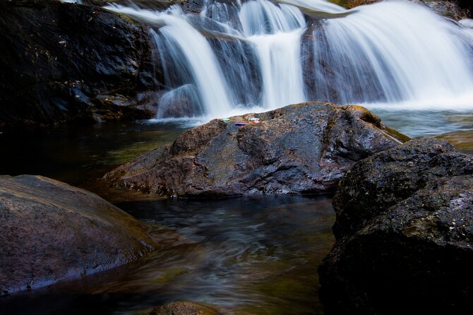 From Kochi: Day Tour to Munnar With Tea Garden and Waterfalls - Price and Booking