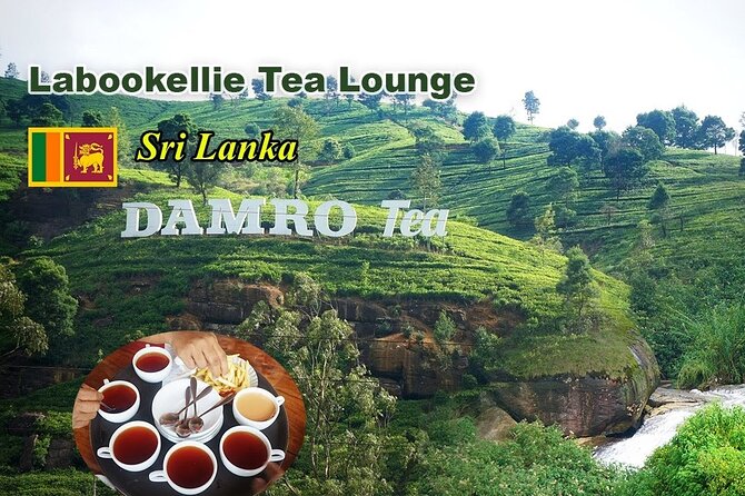 Full-Day Kandy - Nuwara Eliya - Kandy Private Tour - Booking Instructions