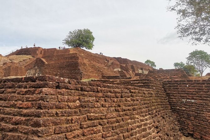 Full Day Tour to Dambulla, Sigiriya, Elephant Safari From Colombo - Frequently Asked Questions