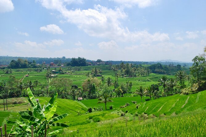 Full Day Wonders of Bali Private Tour With Pickup and Lunch - Tour Details